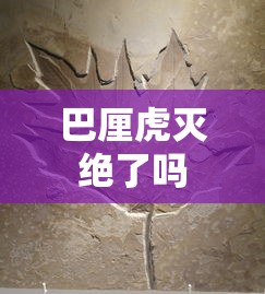 巴厘虎灭绝了吗  第1张