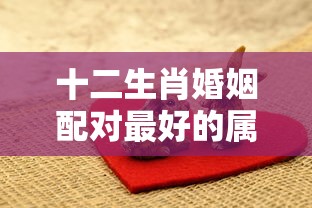 十二生肖婚姻配对最好的属相  第1张