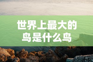 阴阳师手游官网下载入口  第1张