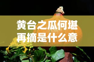 黄台之瓜何堪再摘是什么意思  第1张
