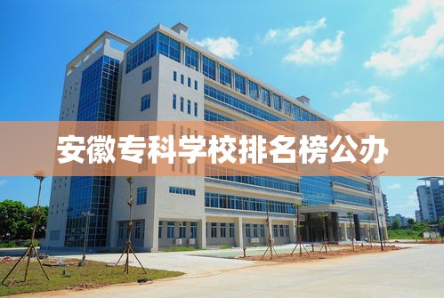 安徽专科学校排名榜公办  第1张