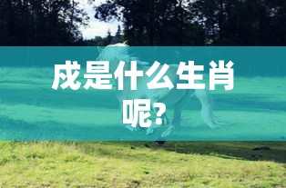 戍是什么生肖呢?  第1张