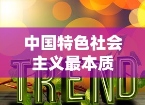 中国特色社会主义最本质特征  第1张