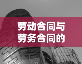劳动合同与劳务合同的区别有哪些  第1张