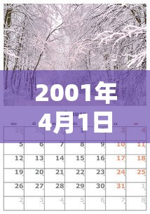 2001年4月1日多大了  第1张