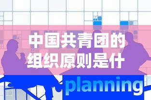 中国共青团的组织原则是什么  第1张