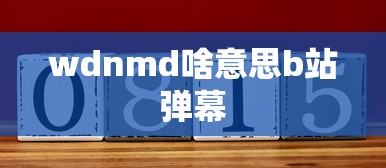 wdnmd啥意思b站弹幕  第1张