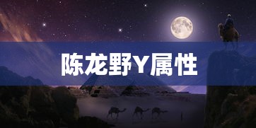 陈龙野Y属性  第1张