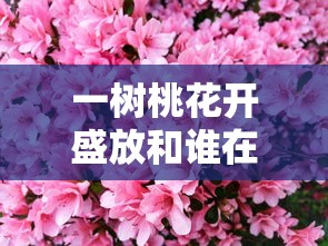 一树桃花开盛放和谁在一起了  第1张