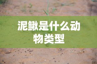泥鳅是什么动物类型  第1张