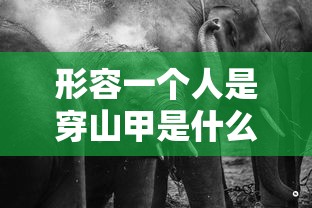 形容一个人是穿山甲是什么意思  第1张