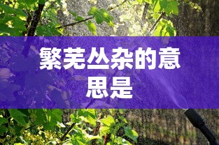 繁芜丛杂的意思是  第1张