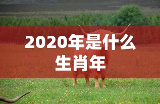 2020年是什么生肖年  第1张