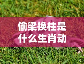 偷梁换柱是什么生肖动物?  第1张