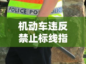 机动车违反禁止标线指示的是什么  第1张