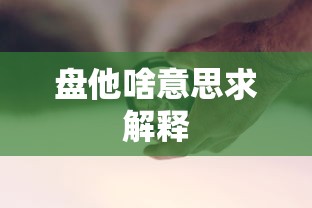 盘他啥意思求解释  第1张