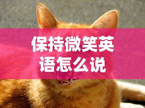 保持微笑英语怎么说  第1张