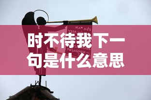 时不待我下一句是什么意思  第1张