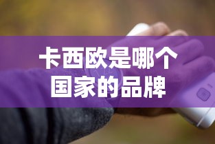 卡西欧是哪个国家的品牌  第1张
