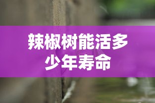 辣椒树能活多少年寿命  第1张