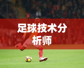 足球技术分析师  第1张