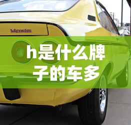 h是什么牌子的车多少钱  第1张