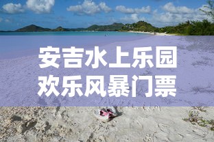 安吉水上乐园欢乐风暴门票  第1张