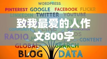 致我最爱的人作文800字  第1张