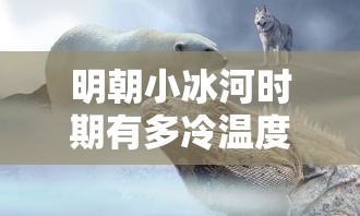 明朝小冰河时期有多冷温度  第1张