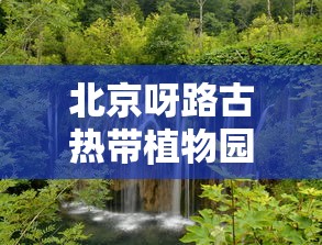 北京呀路古热带植物园门票  第1张