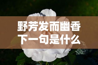 野芳发而幽香下一句是什么  第1张