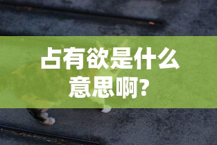 占有欲是什么意思啊?  第1张