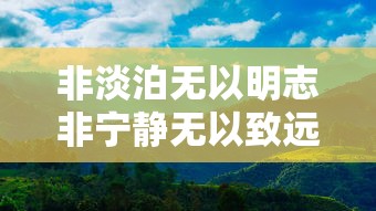 非淡泊无以明志非宁静无以致远  第1张