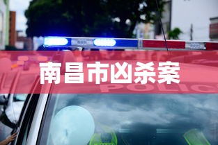 南昌市凶杀案  第1张