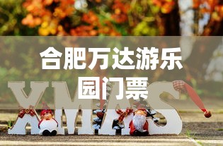 合肥万达游乐园门票  第1张