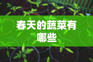 春天的蔬菜有哪些  第1张