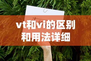 熊出没之熊熊乐园免费观看  第1张