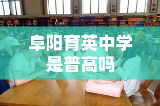 阜阳育英中学是普高吗  第1张