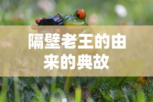 隔壁老王的由来的典故  第1张