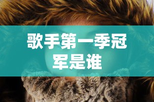 歌手第一季冠军是谁  第1张