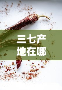 三七产地在哪里最好  第1张