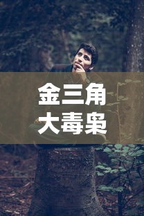 金三角大毒枭电视剧在线观看  第1张