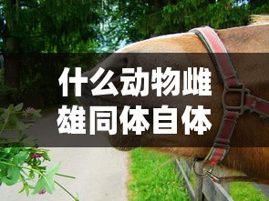 什么动物雌雄同体自体繁殖  第1张
