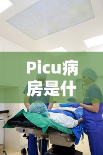 Picu病房是什么意思  第1张