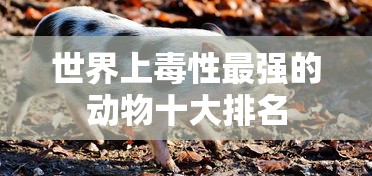 世界上毒性最强的动物十大排名  第1张
