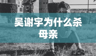 吴谢宇为什么杀母亲  第1张