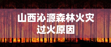 山西沁源森林火灾过火原因  第1张