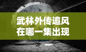 武林外传追风在哪一集出现  第1张