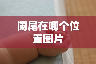 阑尾在哪个位置图片  第1张