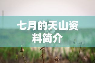 七月的天山资料简介  第1张